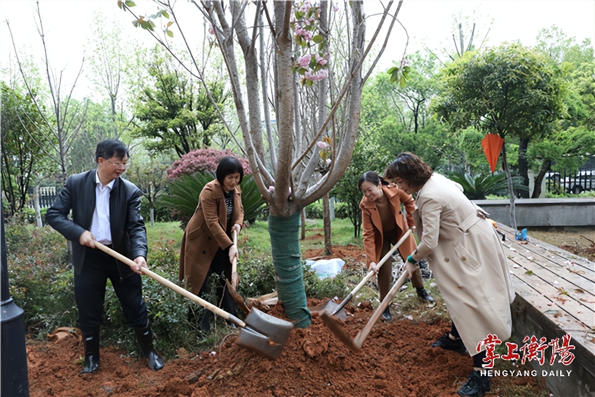 南华医院开展“我为医院添绿色”主题植树活动