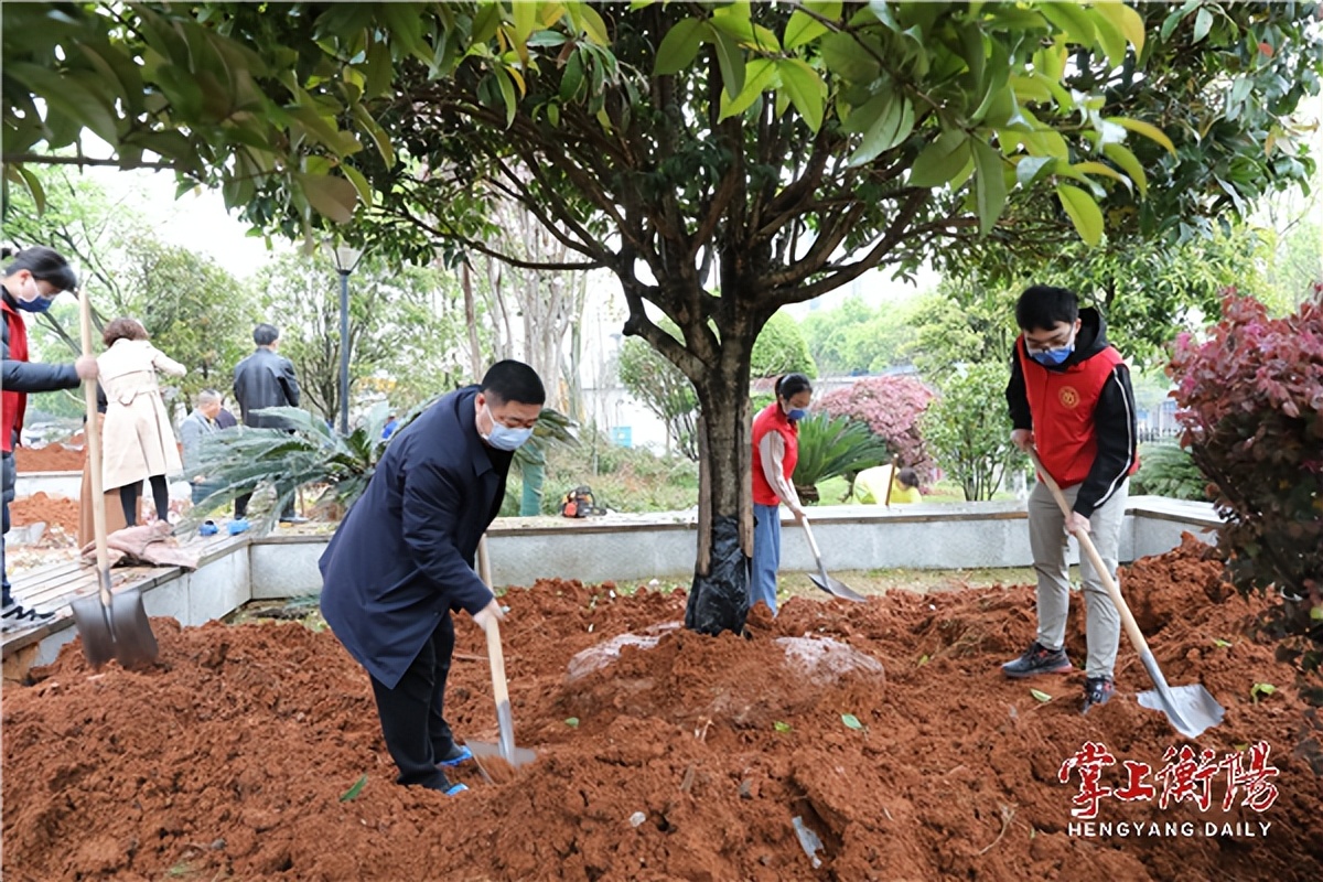 南华医院开展“我为医院添绿色”主题植树活动